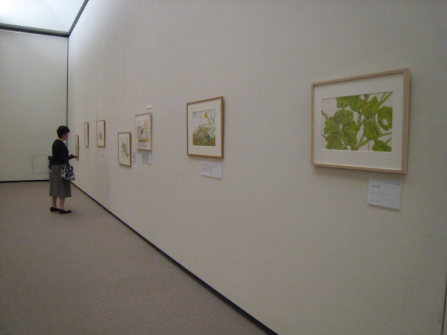 日本のプチファーブル 熊田千佳慕展 会場風景