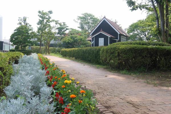 水戸農業高校生による花壇植栽