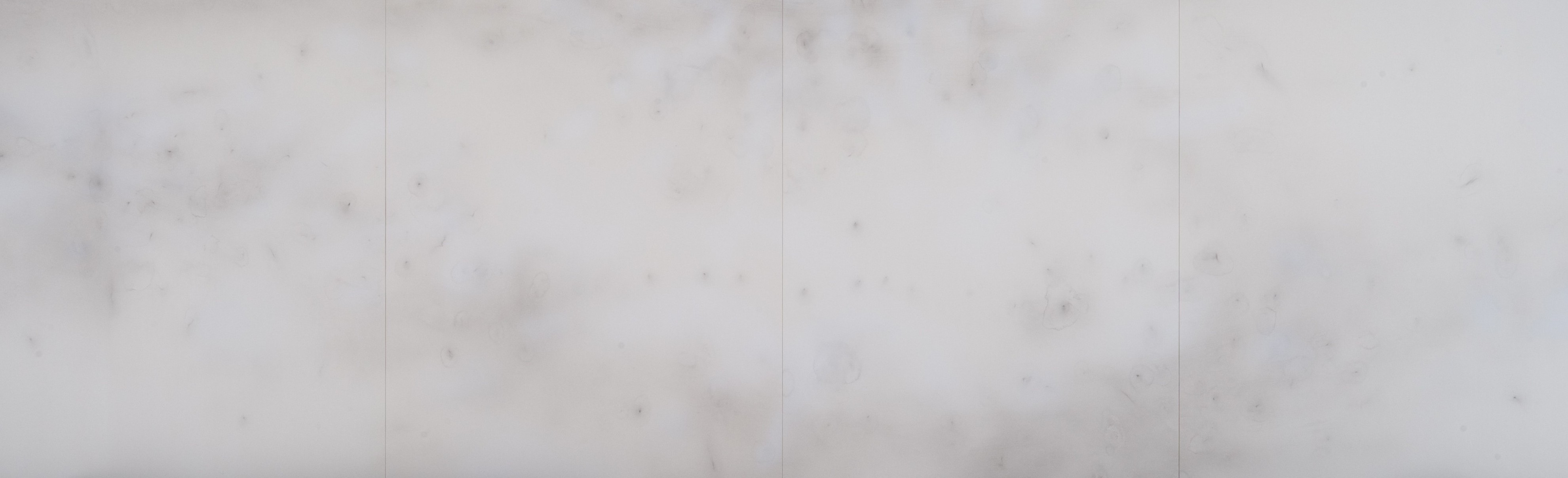 園家誠二《月光》2011年