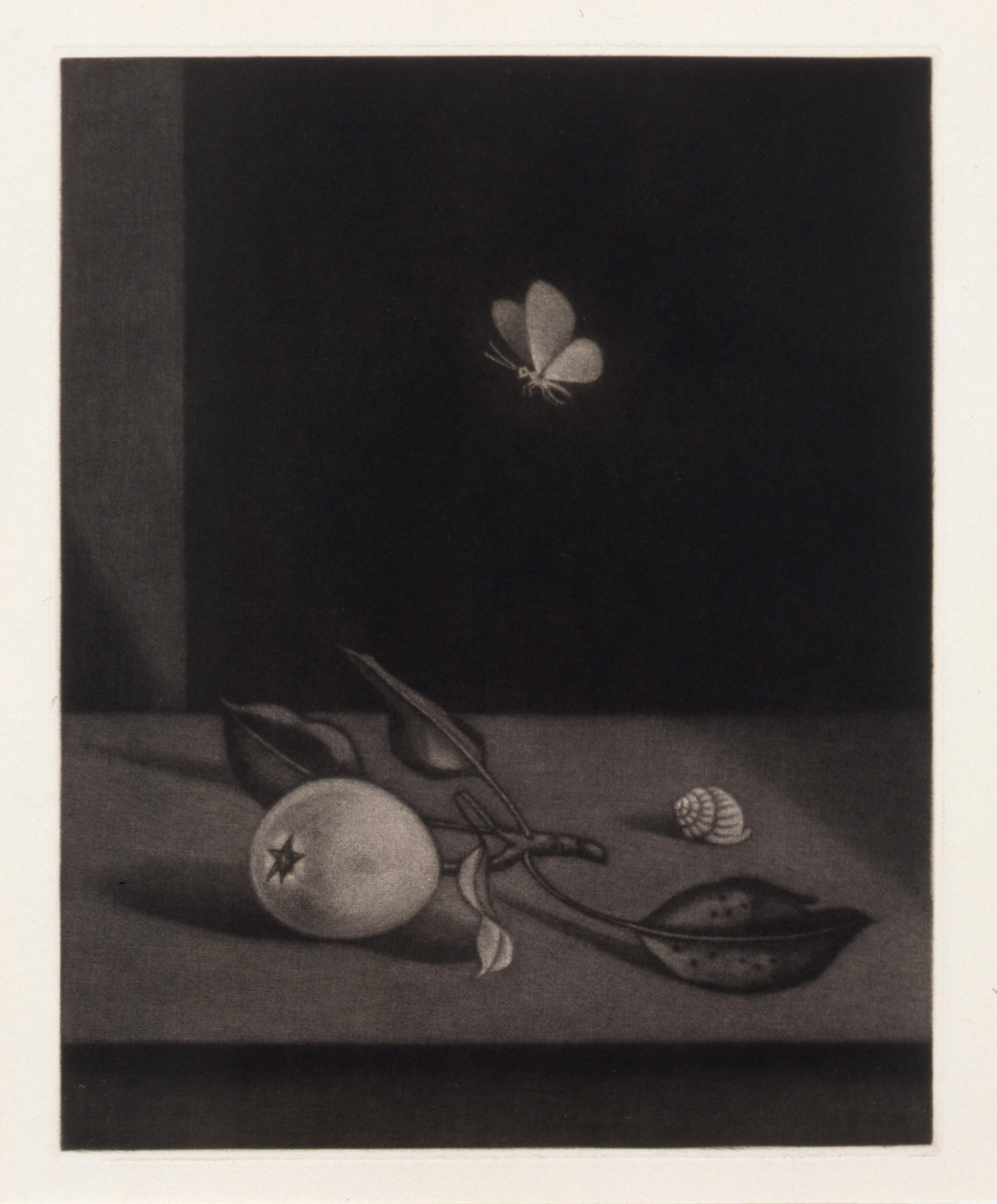 長谷川潔_「長谷川潔の肖像蝶のいる静物_L