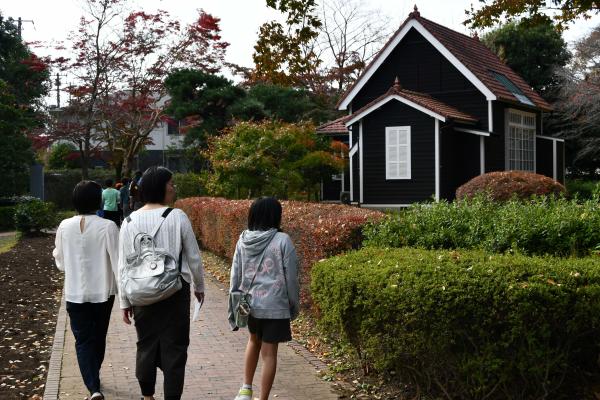 11/16（土）12/15（日）開催<br />
家族でわくわくてんらんかい